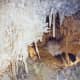 Stalactites and Stalagmites growing in the Caverns of Sonora