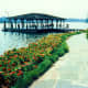 Waterfront
