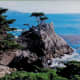 Lone Cypress and trademark for Pebble Beach