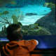 Sea turtles, several species of fish, and Moray eels also call this tank home.