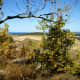 View from the top of the Sleeping Bear Dunes