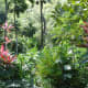 Lush botanical gardens in Waimea Falls Park