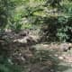 Stream running through the Waimea Falls Park