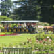 Another horse drawn carriage