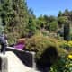 A bridge and a pond add interest to a garden.