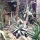 the-bloedel-conservatory-in-vancouver-a-photo-tour