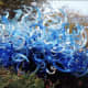 chihuly-desert-glass-sculptures-at-the-phoenix-botanical-gardens