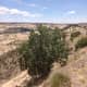 Another view of badlands including highway