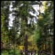lake-superiors-scenic-north-shore