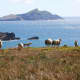 Ring of Kerry, Ireland