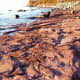 Presque Isle Park in Marquette, Michigan