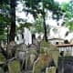 Old Jewish Cemetery, Prague.