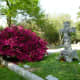Glenwood Cemetery with Azaleas in Bloom 