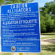 Alligator sign warning