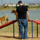 Agility equipment for dogs at Goforth Park