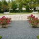 Pretty roses in the Felicie Babin Gucymard Memorial Garden
