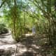Walking on a path in the sanctuary