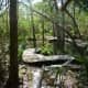 Wooden walkways over water at Moore Sanctuary