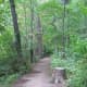 Along Trail 1