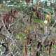 Take time to check out the unique vegetation