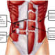 Core muscles