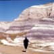 Be sure to carry lots of water with you if walking in the Badlands of the Petrified Forest National Park! 