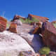 Photo from the Petrified Forest National Park.