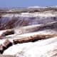 Long Logs at the Petrified Forest National Park