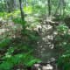 Very little of the path is smooth like this.