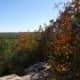 Mount Misery Autumn 2012