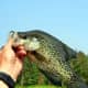 texas-crappie-fishing
