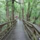 congaree-national-park