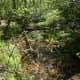 Indian Creek Trail at Hanging Rock State Park, Danbury, NC