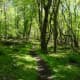 Indian Creek Trail at Hanging Rock State Park, Danbury, NC