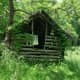 The Old Rotted Cabin