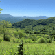 appalachian-trail-carvers-gap-to-lake-watauga