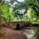 You will cross this bridge twice on the figure of eight walk