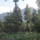 That's Mt. Humphrey's you see, the tallest of the San Francisco Peaks at 12,633 feet. The peak is 4.5 trail miles from Hart Prairie Lodge.
