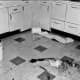 Kitchen crime scene photo