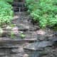Water trickling out of the canyon wall