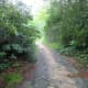 pink-beds-loop-trail