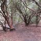 pink-beds-loop-trail