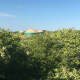 From the boardwalk to the beach you could see some of the yurts. They look like they have excellent views.