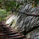 Duggar's Trail