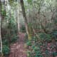 Duggar's Trail