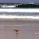 california-pictures-of-the-famous-17-mile-drive