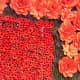 Flower Wall