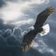 On the Wings of Eagles (an Inspirational Poem) - LetterPile