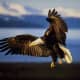 on-the-wings-of-eagles