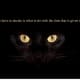 the-black-cat-a-poem